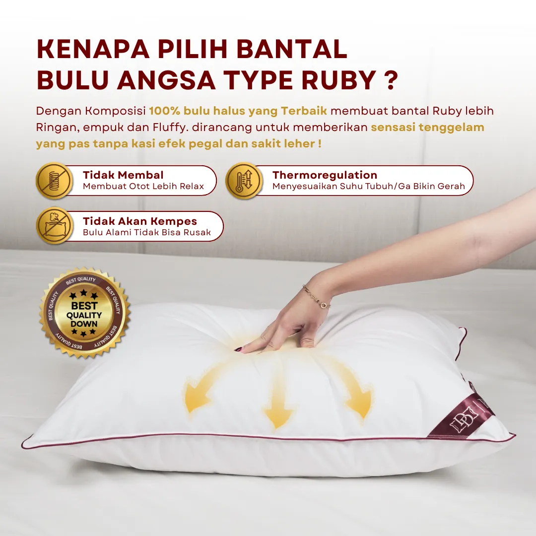 Bantal Bulu Angsa Type Ruby 100% Down | 50x70 cm 4