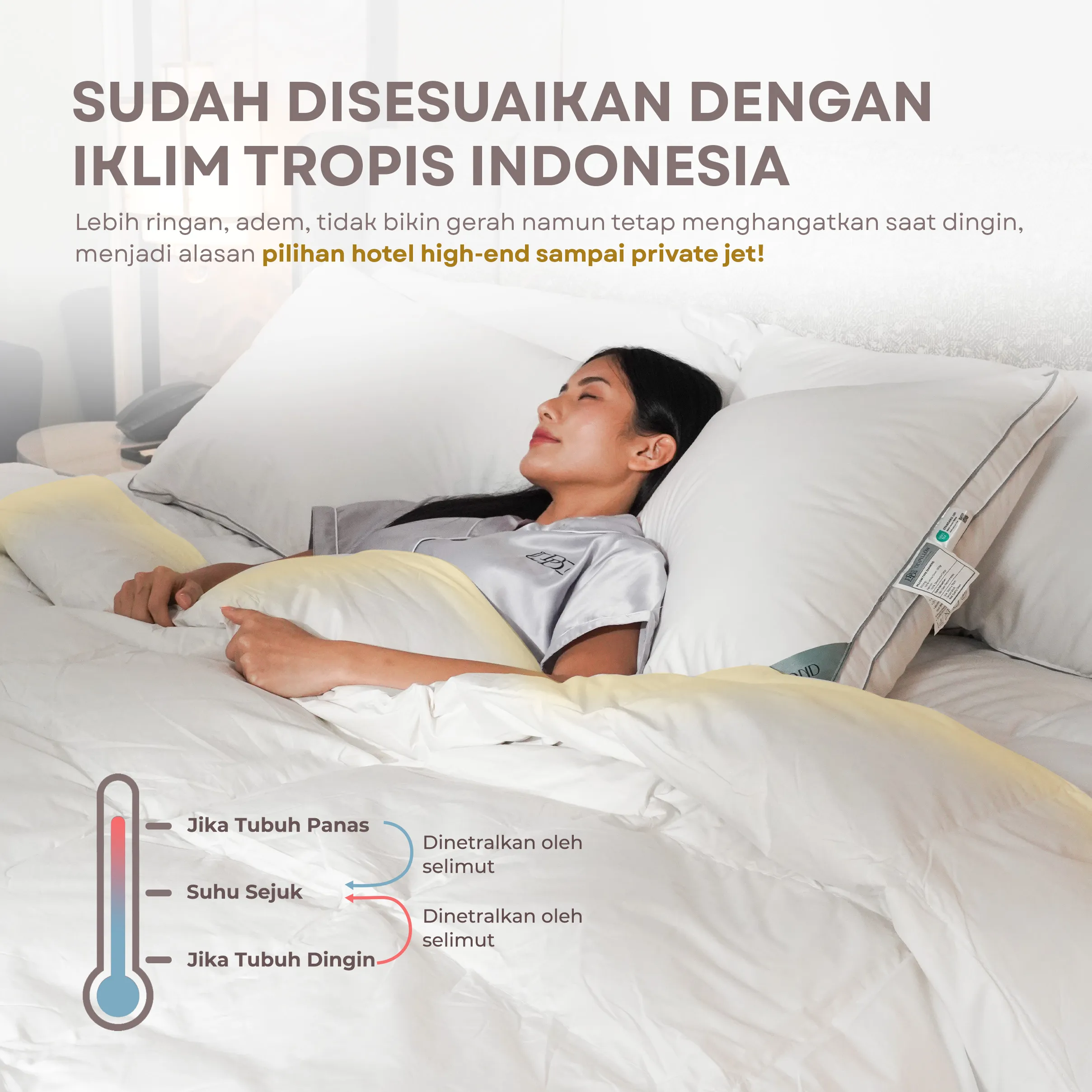 Selimut / Duvet Bulu Angsa Type Silver | 70% Down 7